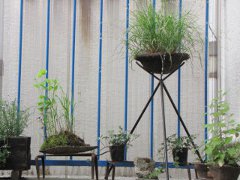 20100514_02.JPG