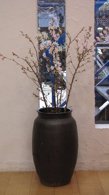 IMG_2656.JPGのサムネール画像